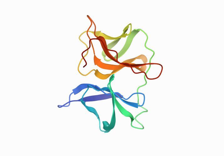 Therapeutic Potential of Vasoactive Intestinal Peptide and its Derivative Stearyl-Norleucine-VIP in Inflammation-Induced Osteolysis